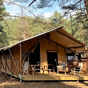 Camping Camp Bursztynowy